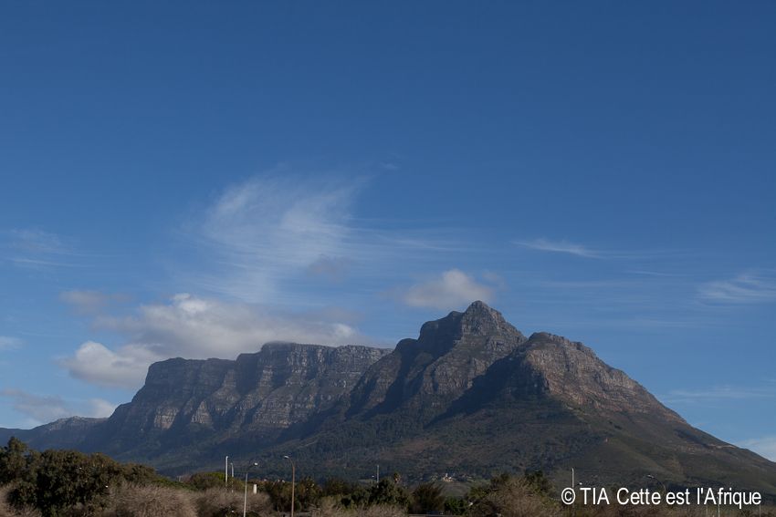  photo 36TableMountain-tiaphotoblog_zps0efa37bb.jpg