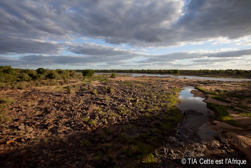 The Save River photo 26SaveRiver-tiaphotoblog_zps5d041d15.jpg