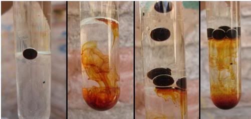 ciencia ciencia