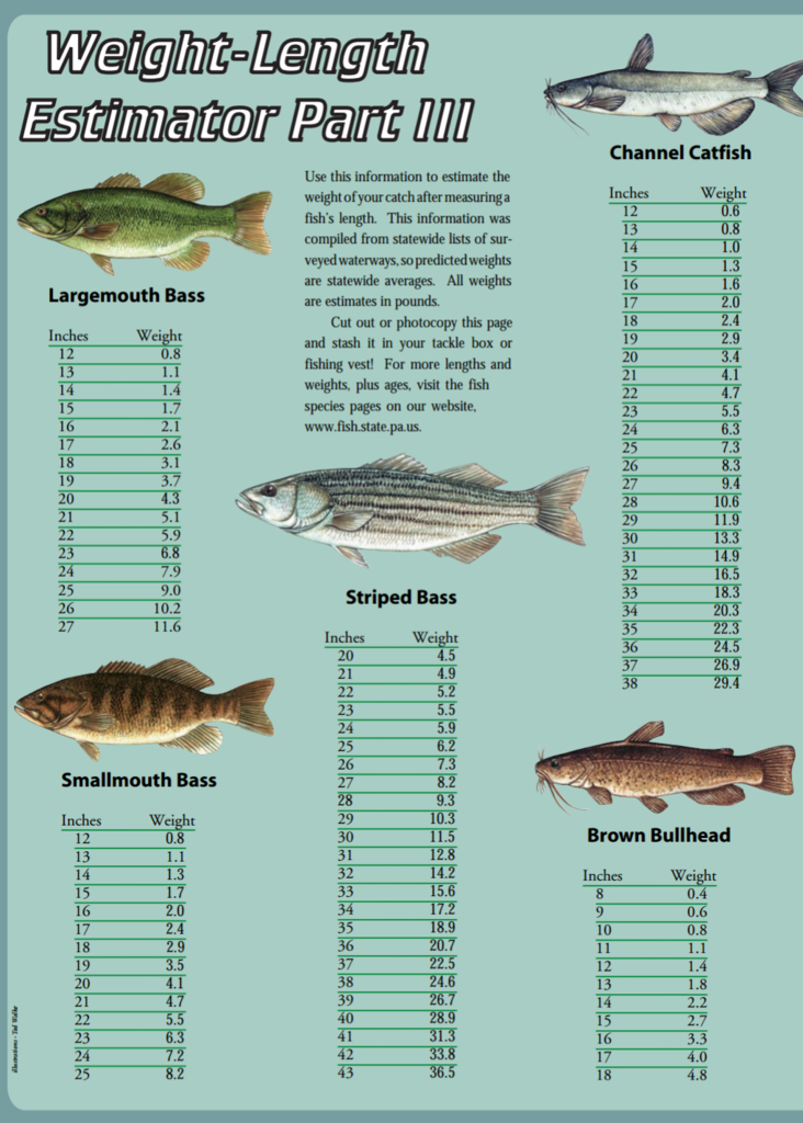 estimating-weight-only-by-length-general-bass-fishing-forum-bass-fishing-forums