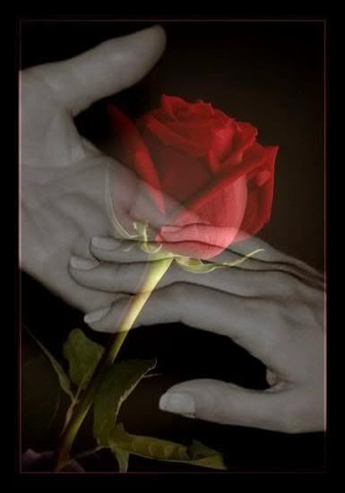 flawer Pictures, Images and Photos