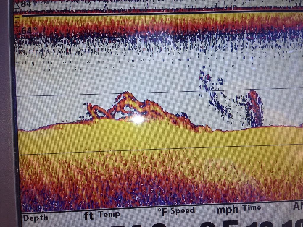 Lake Sinclair catfish report 6/13 pics GON Forum