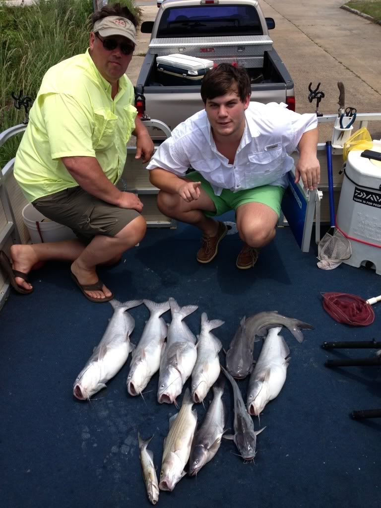 Lake Sinclair catfish report 6/13 pics Outdoor News Forum