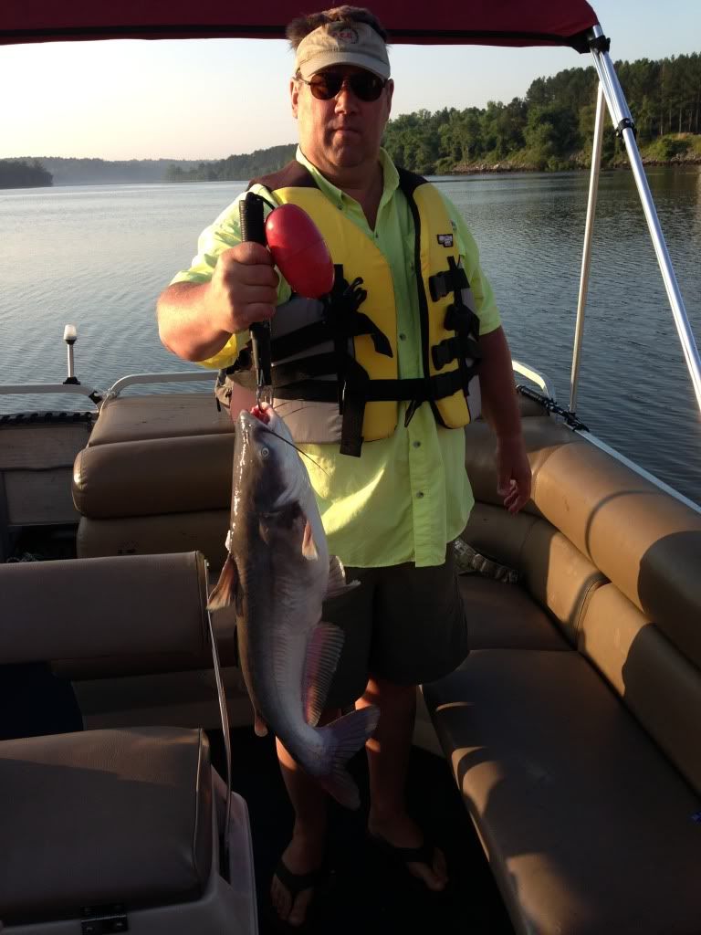 Lake Sinclair catfish report 6/13 pics GON Forum