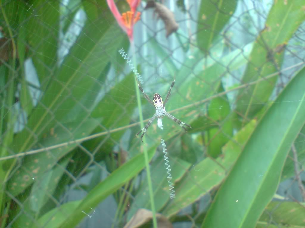 topic về những hình ảnh chụp bằng điện thoại di động - 2