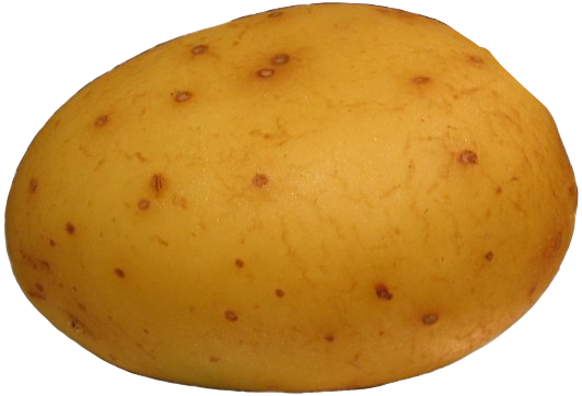 potato.png