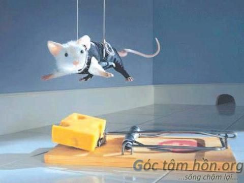 Góc Tâm Hồn GocTamHonorg anh bai 1 Giúp người, giúp chính mình