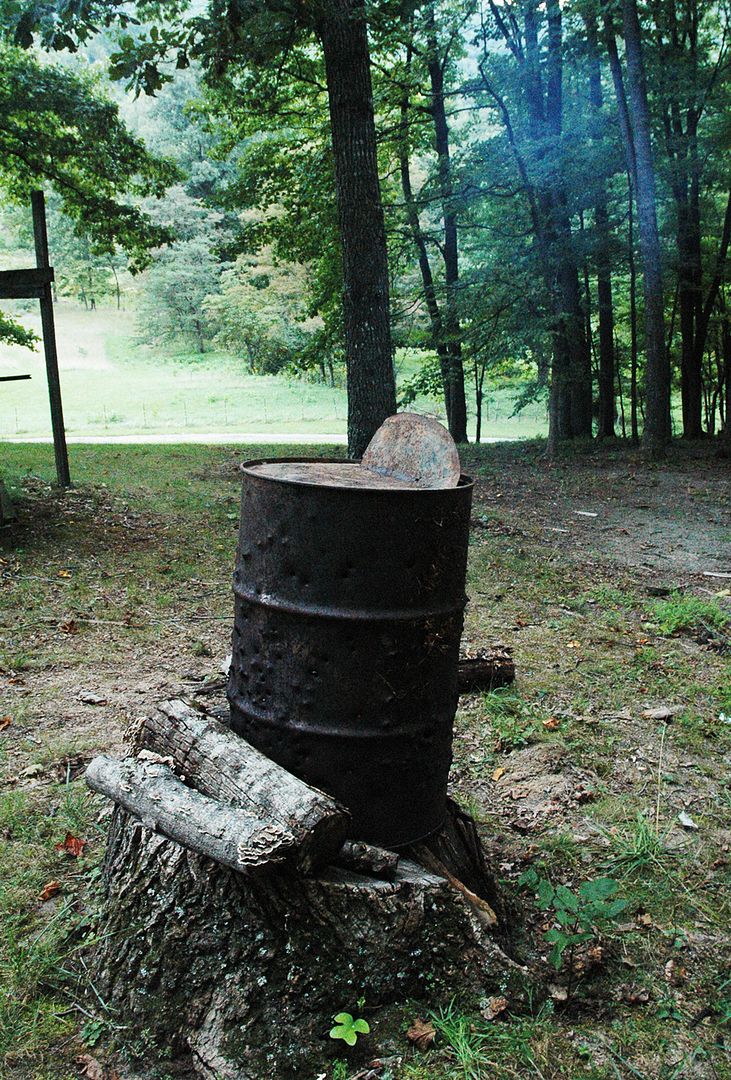 stump5_zps81bffb73.jpg
