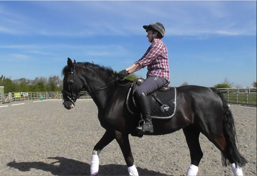 Slipping to back of saddle woes... me, the horse or the saddle?? Horse and Hound Forum