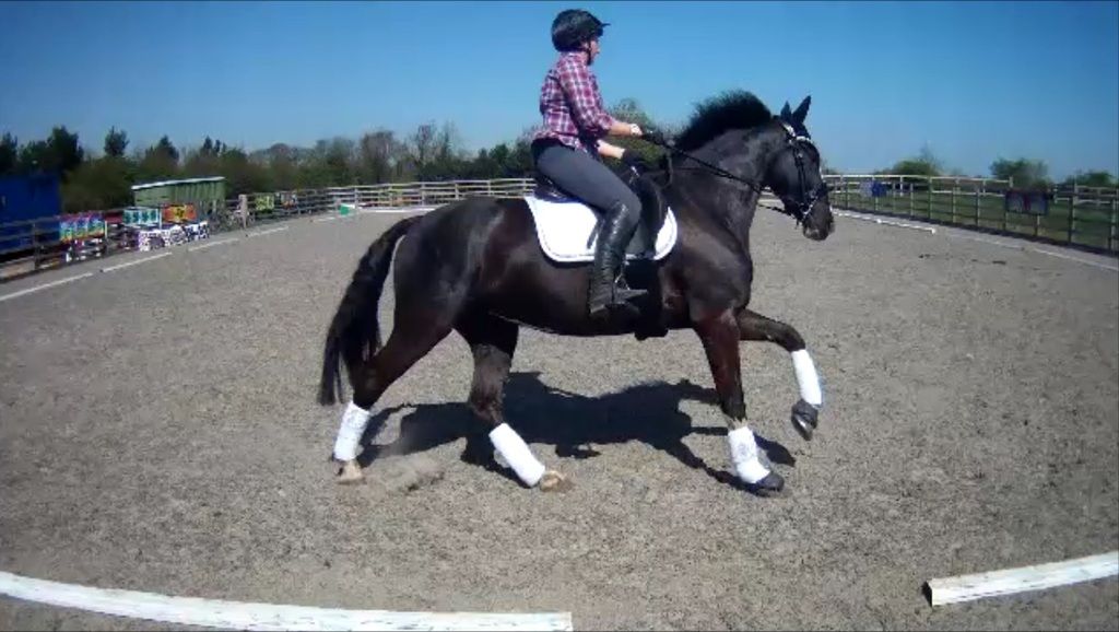 Slipping to back of saddle woes... me, the horse or the saddle?? Horse and Hound Forum