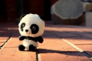  photo e2eea0dc-f425-4f82-ab1d-74723edcd7af_zpsfec26406.jpg