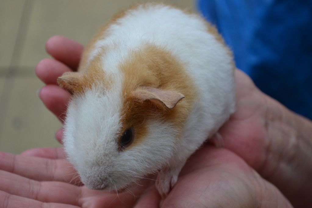 DSC_0028.jpg