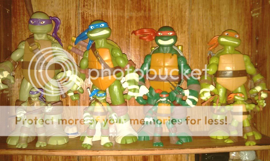 turtles003.jpg