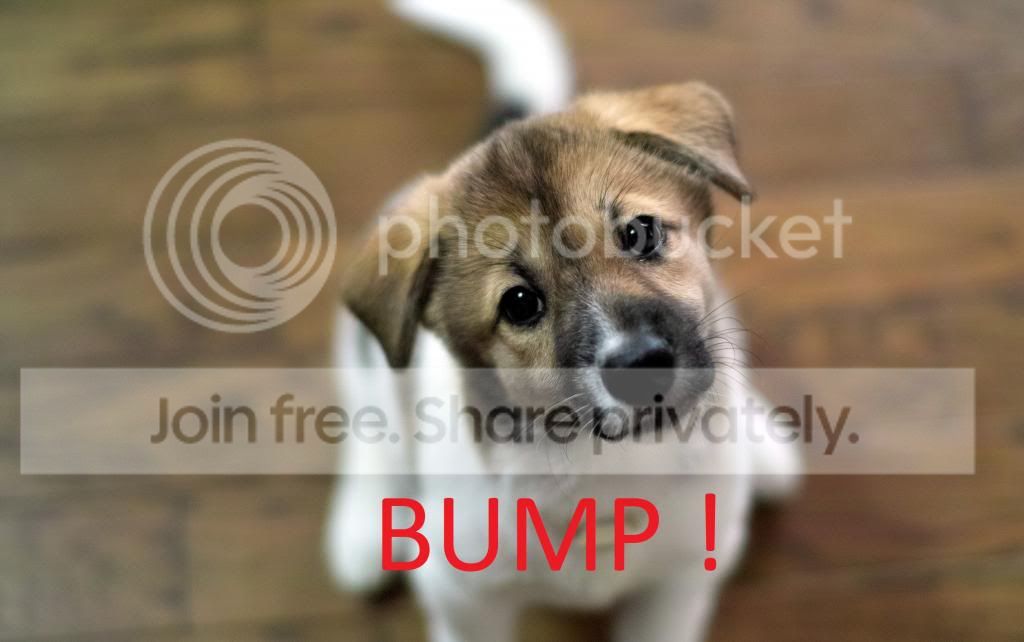 BUMP_zpsd58db604.jpg