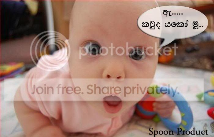 aaaaa.jpg
