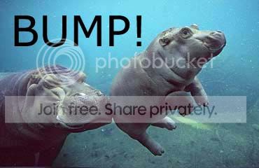 hippo_bump_zps09b26e79.jpg