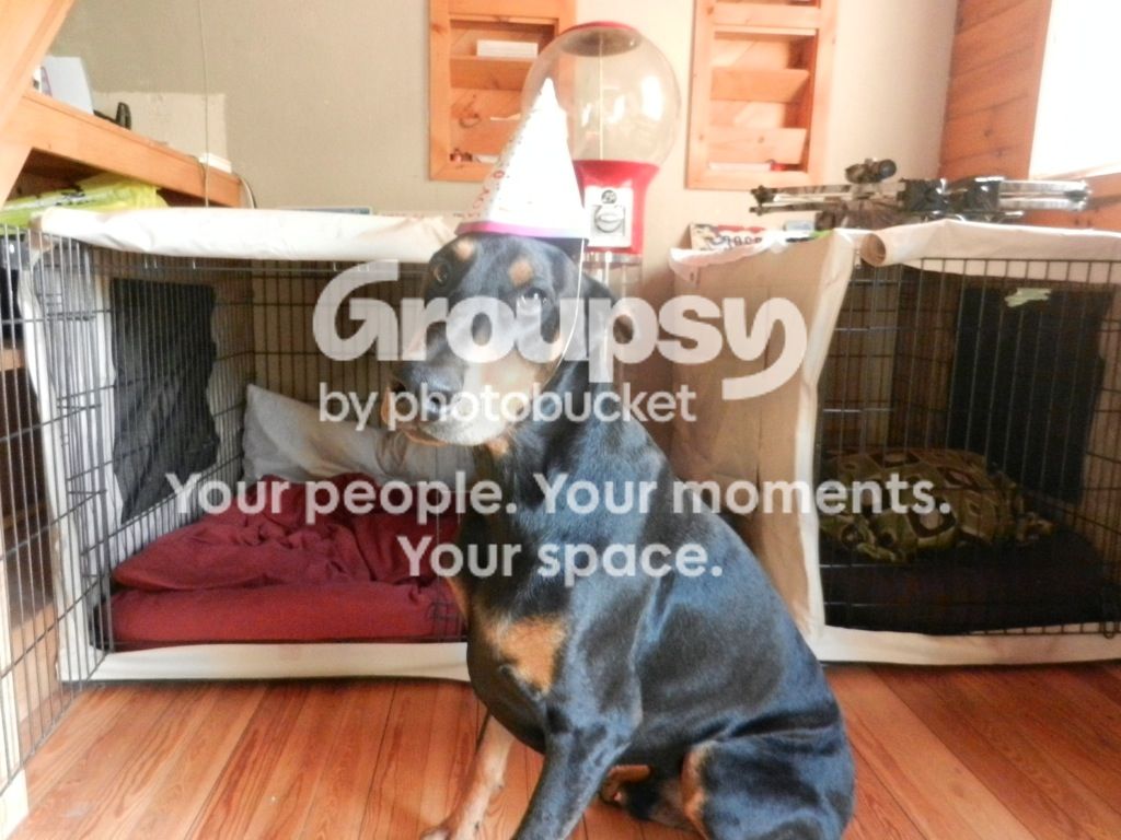 8d3f61f2.jpg