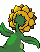 [PokeCommunity.com] Team Galamyth (recruiting)